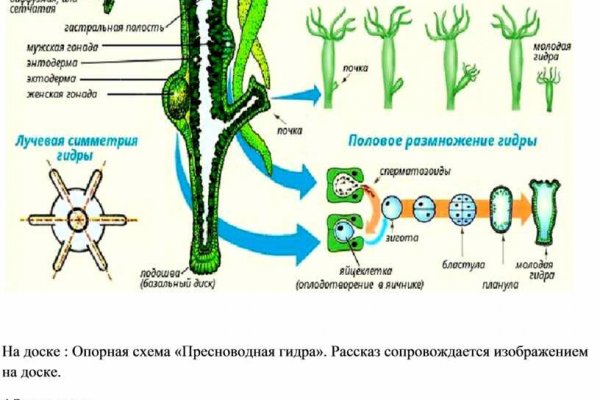 Блэкспрут ссылка blacksprut2web in