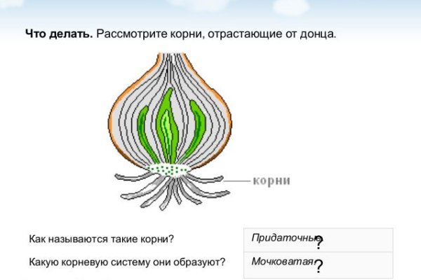 Блэк спрут телеграм